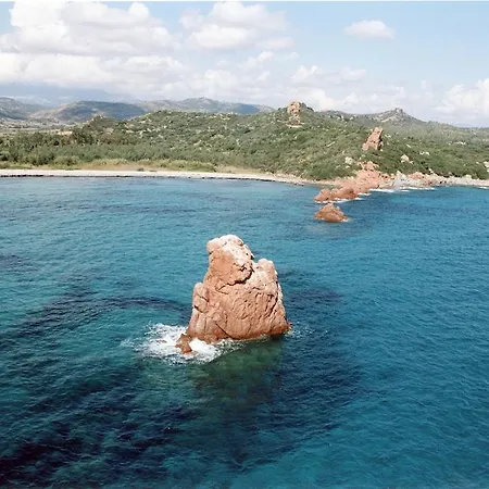 La Pavoncella